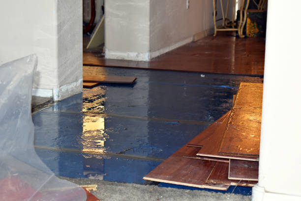 Professional Water Damage technician working in Midfield, TX